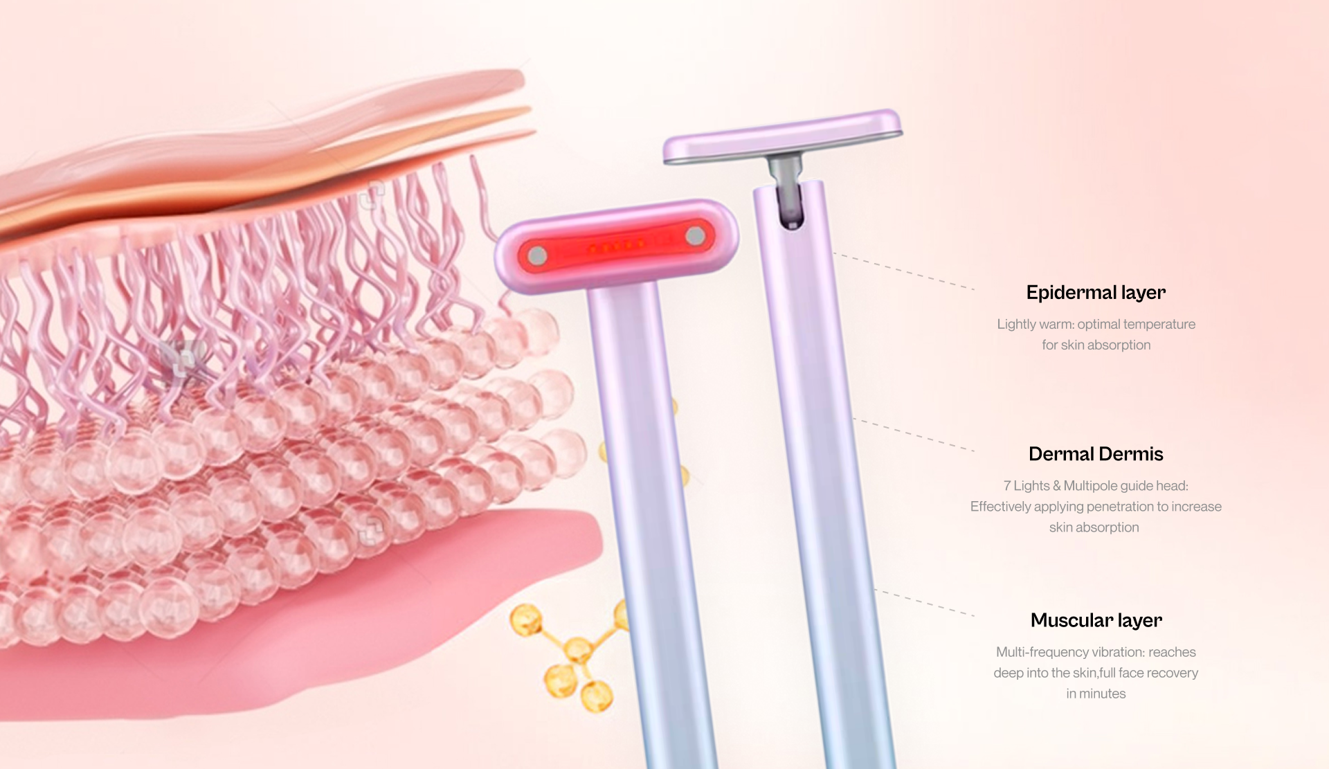 Skincare device with skin layers