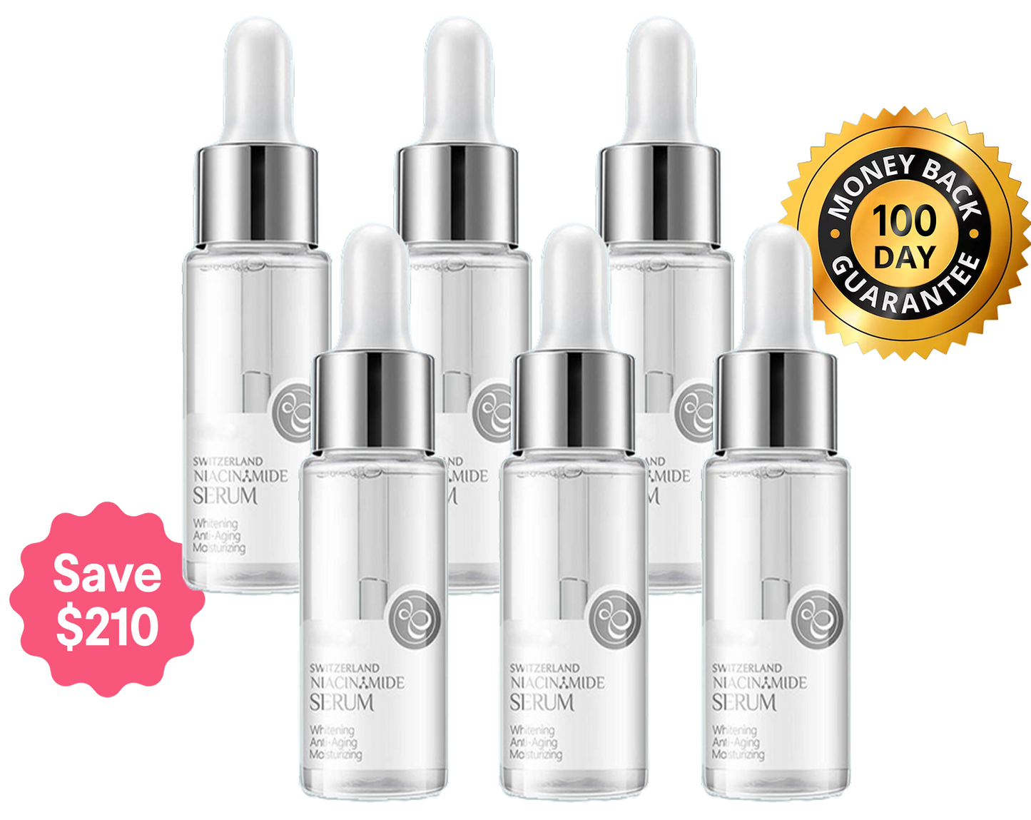 6x Swiss Niacinamide Serum
