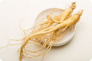 Panax Ginseng Extract